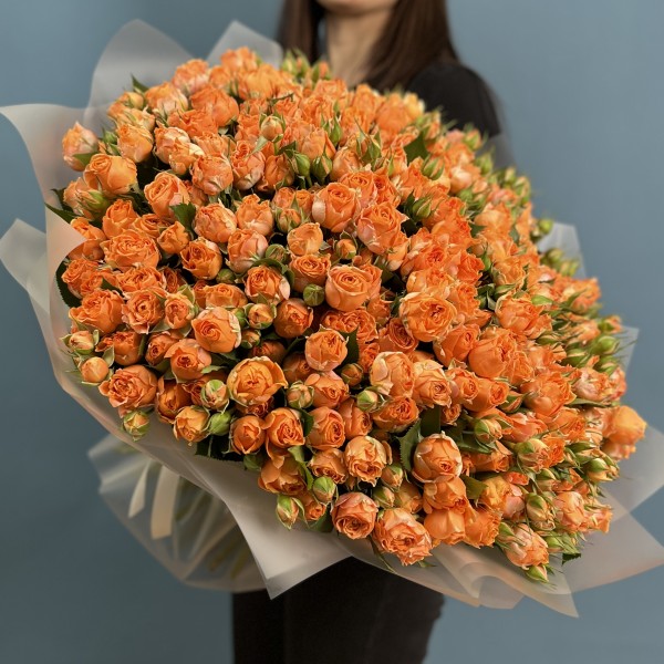 75 кустовых пионовидных роз Корал Баблс 50 см