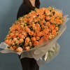 75 кустовых пионовидных роз Корал Баблс 50 см