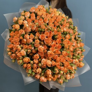 75 кустовых пионовидных роз Корал Баблс 40 см