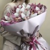 17 розовых и белых орхидей в букете