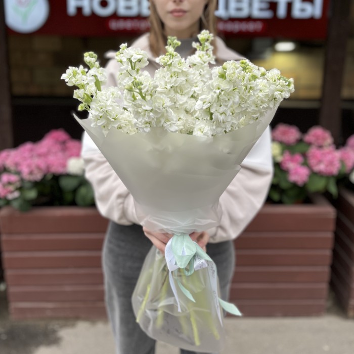 11 ароматных белых Маттиол