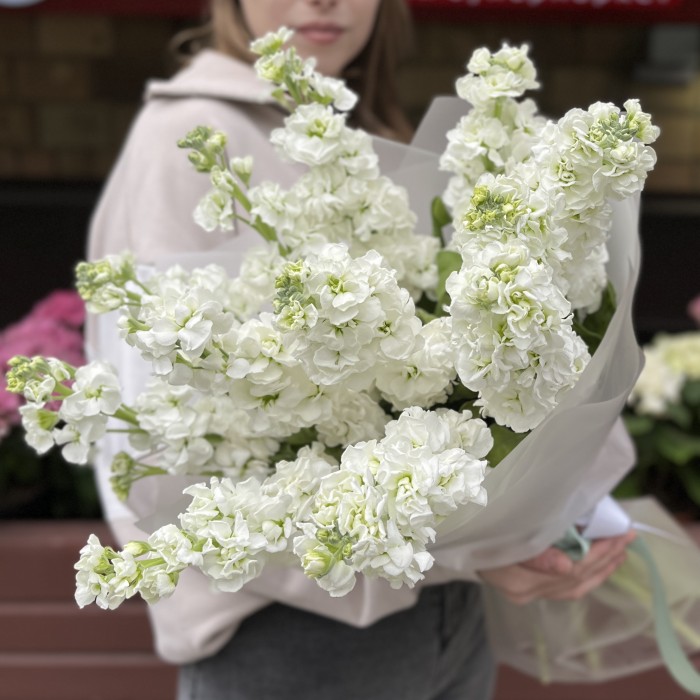 11 ароматных белых Маттиол