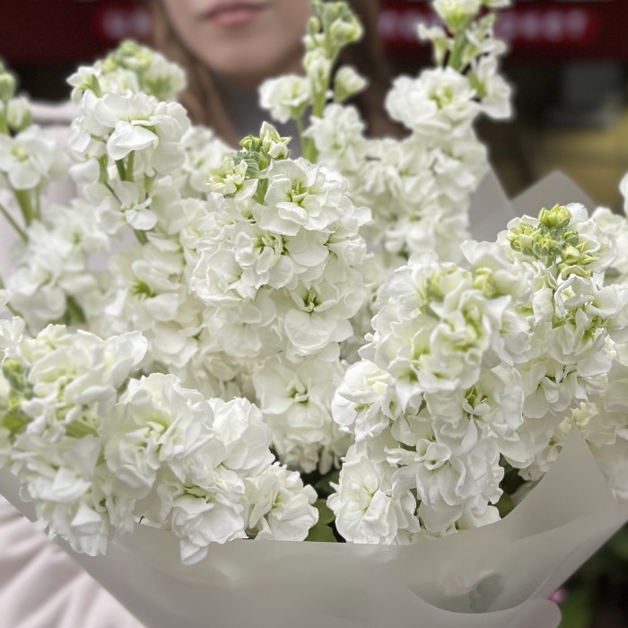 11 ароматных белых Маттиол