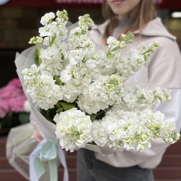 11 ароматных белых Маттиол