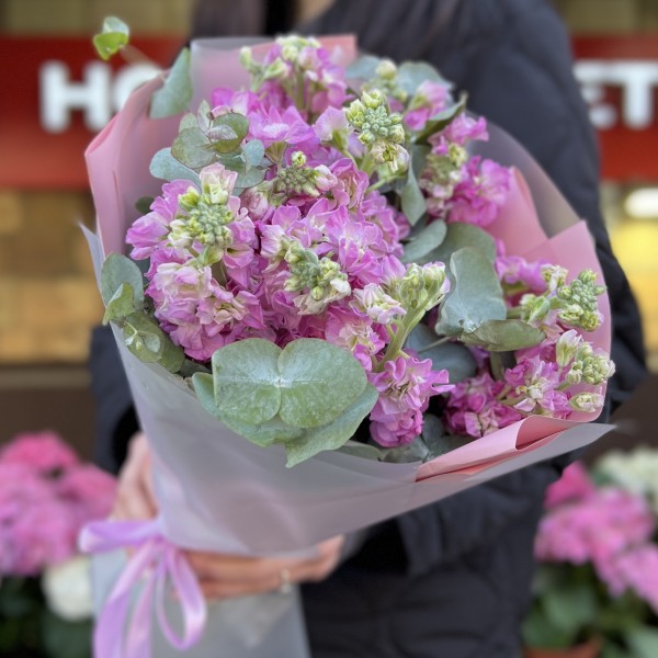 11 розовых ароматных маттиол с эвкалиптом