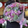 11 розовых ароматных маттиол с эвкалиптом