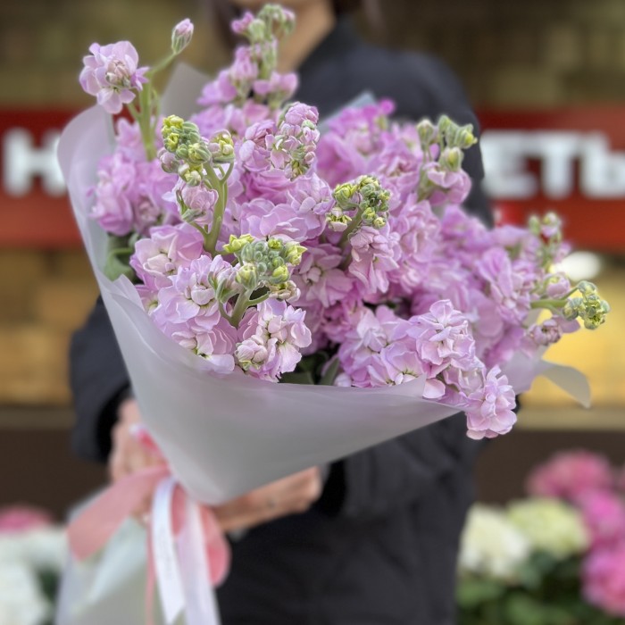 11 сиреневых ароматных маттиол