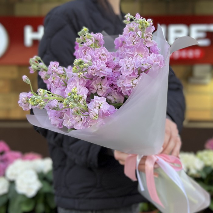 11 сиреневых ароматных маттиол