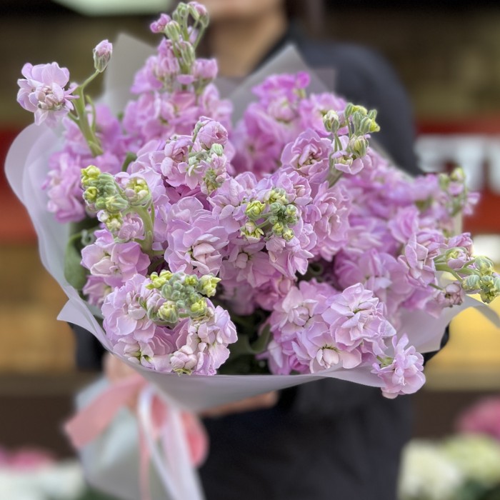 11 сиреневых ароматных маттиол