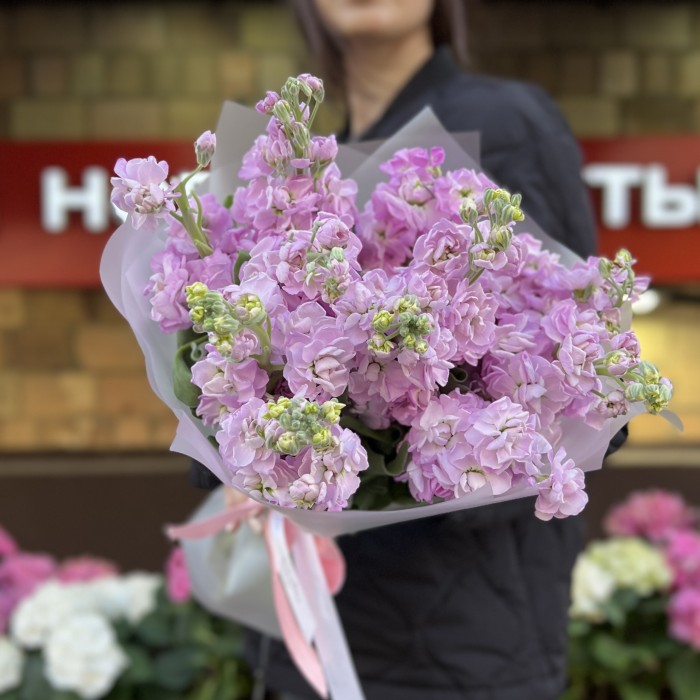 11 сиреневых ароматных маттиол