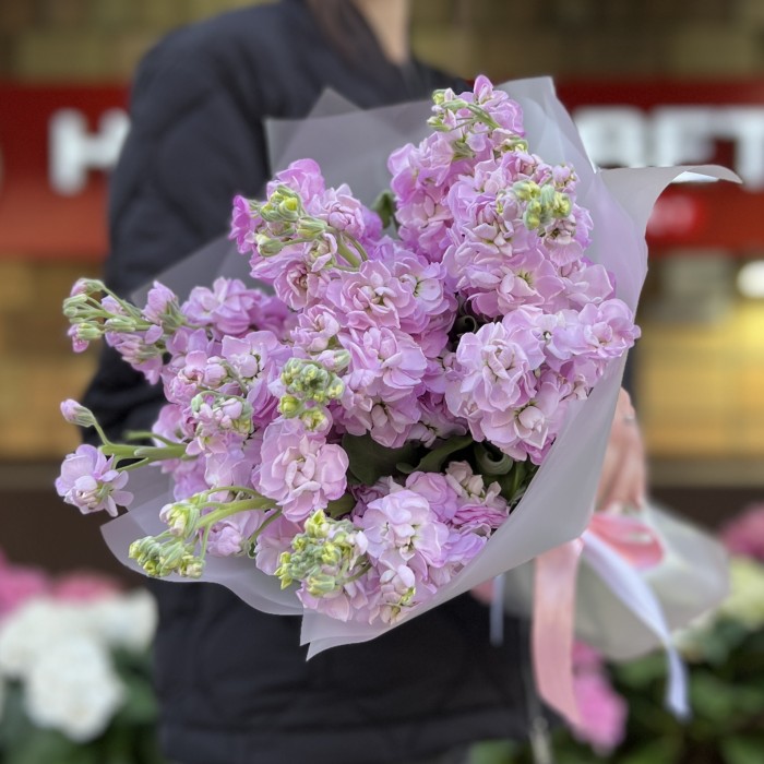 11 сиреневых ароматных маттиол