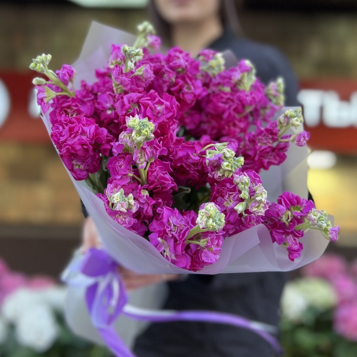 15 ароматных малиновых маттиол