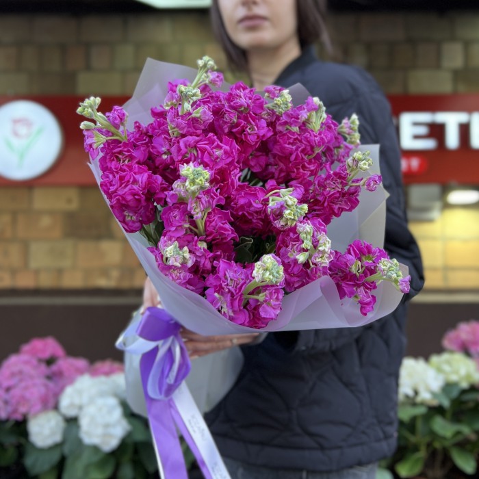 15 ароматных малиновых маттиол