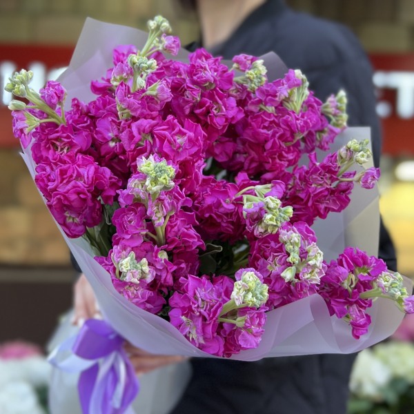 15 ароматных малиновых маттиол