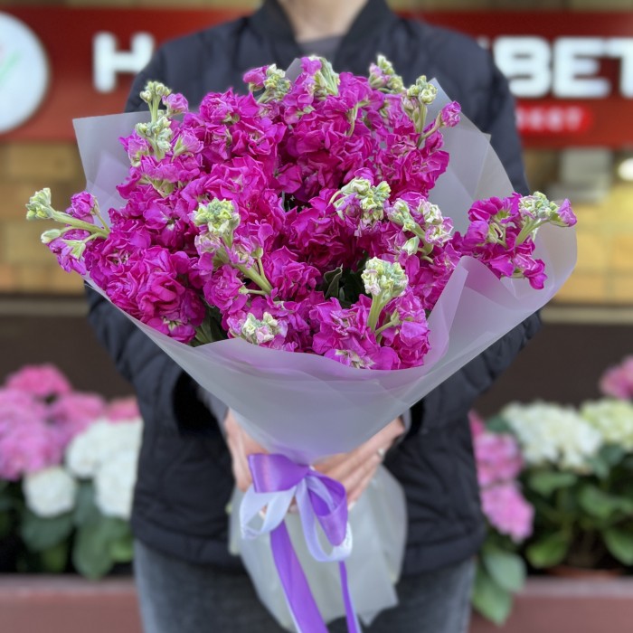 15 ароматных малиновых маттиол