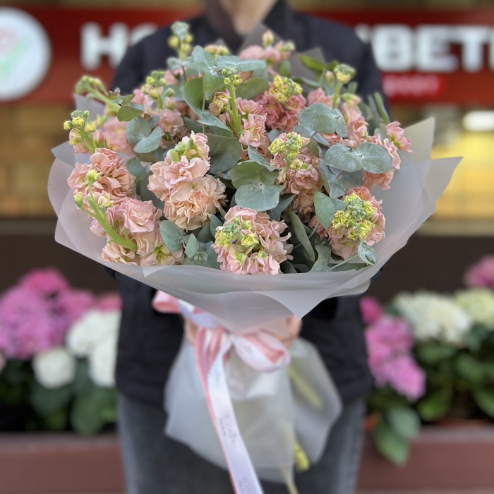 Букет из 15 персиковых маттиол с эвкалиптом