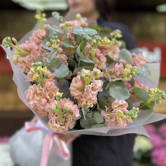 Букет из 15 персиковых маттиол с эвкалиптом