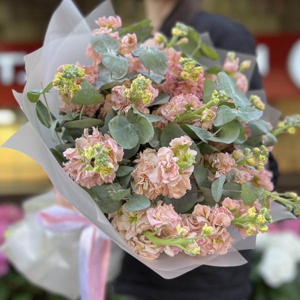 Букет из 15 персиковых маттиол с эвкалиптом