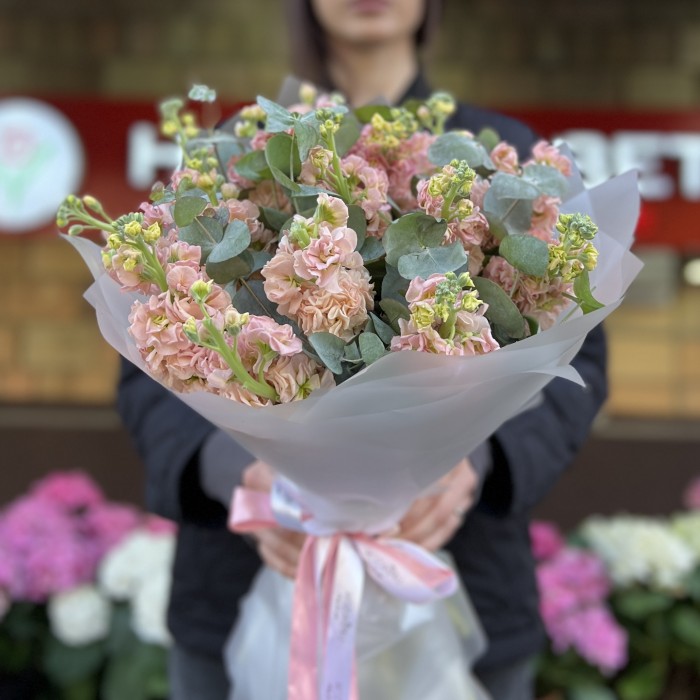 Букет из 15 персиковых маттиол с эвкалиптом