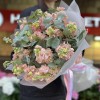 Букет из 15 персиковых маттиол с эвкалиптом
