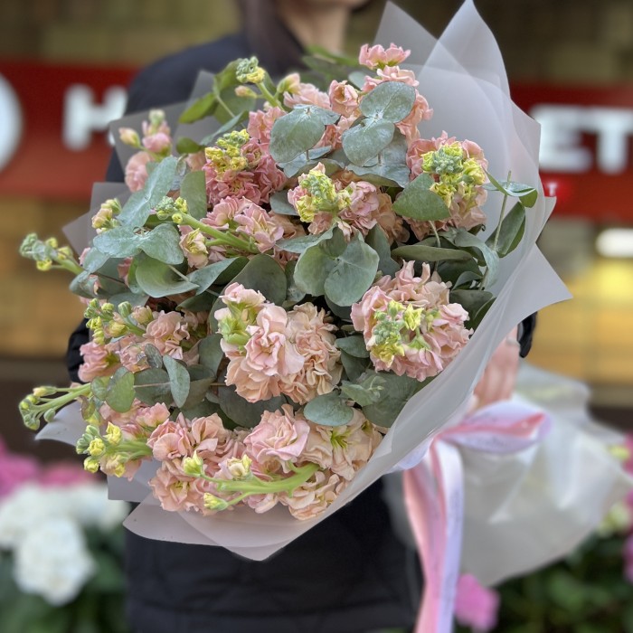 Букет из 15 персиковых маттиол с эвкалиптом