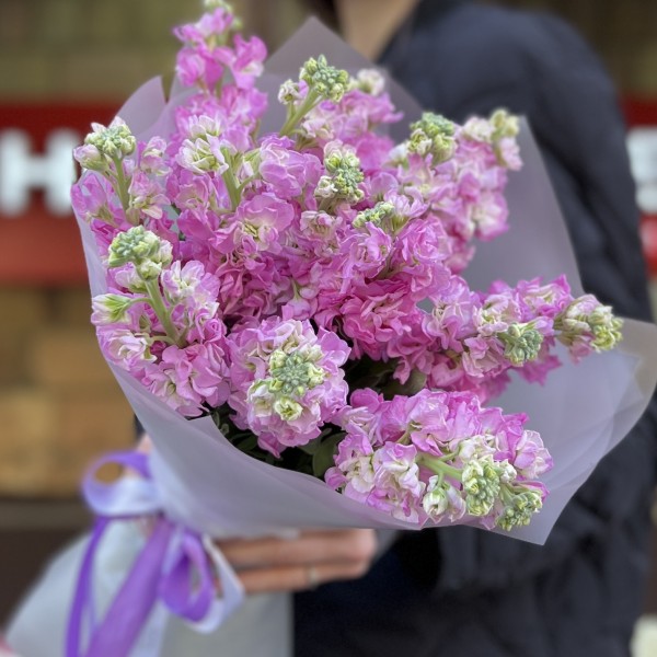 15 розовых ароматных маттиол