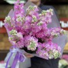 15 розовых ароматных маттиол