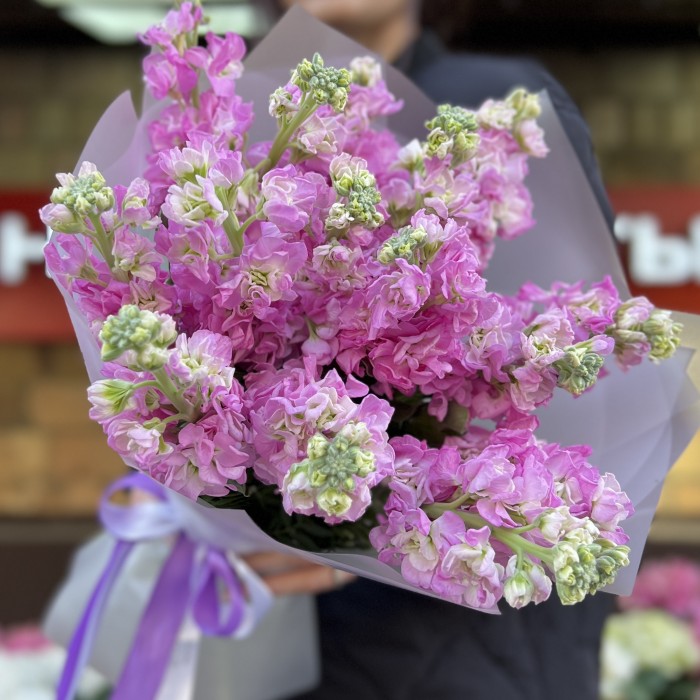 15 розовых ароматных маттиол