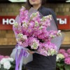 15 розовых ароматных маттиол