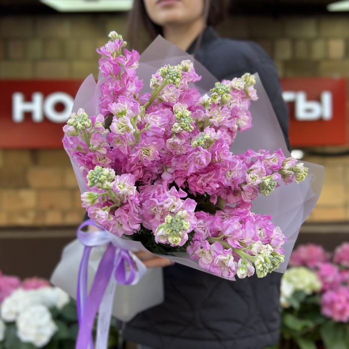 15 розовых ароматных маттиол