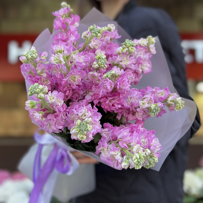 15 розовых ароматных маттиол