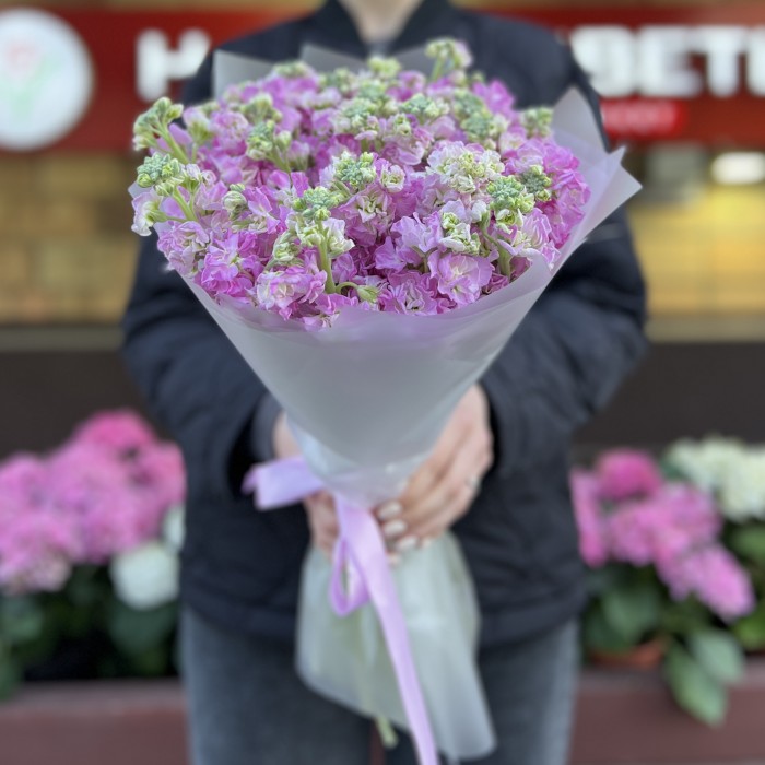 25 розовых ароматных маттиол