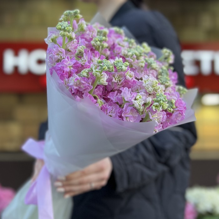 25 розовых ароматных маттиол