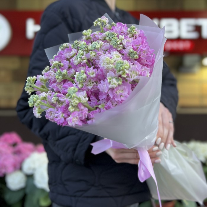 25 розовых ароматных маттиол