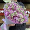 25 розовых ароматных маттиол