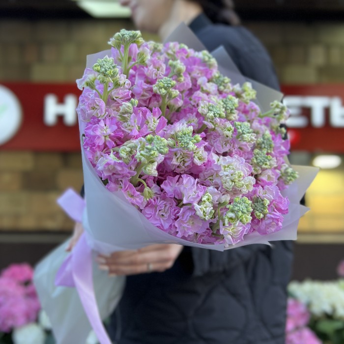 25 розовых ароматных маттиол