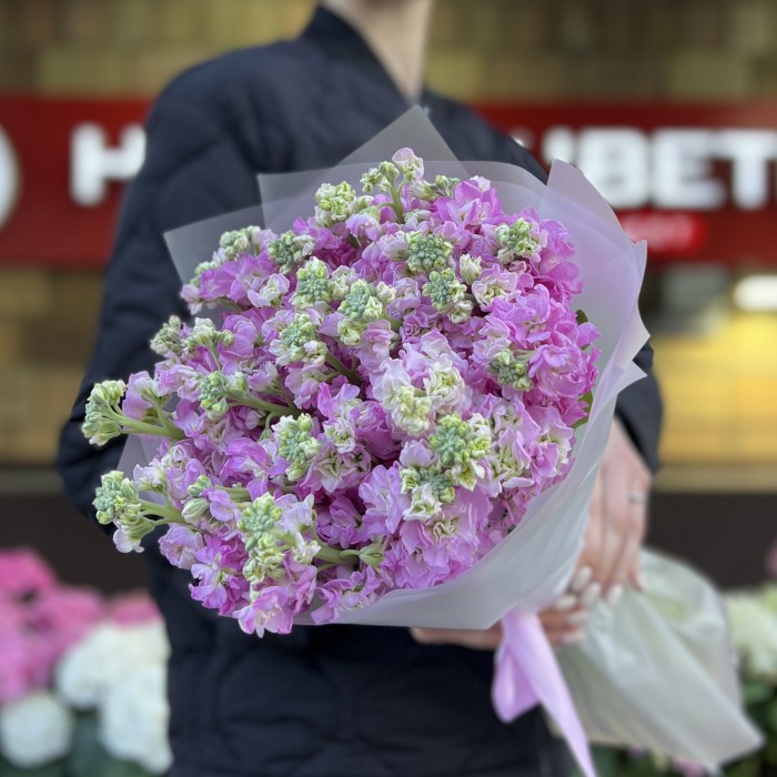 25 розовых ароматных маттиол