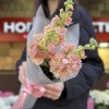 3 ароматные персиковые маттиолы