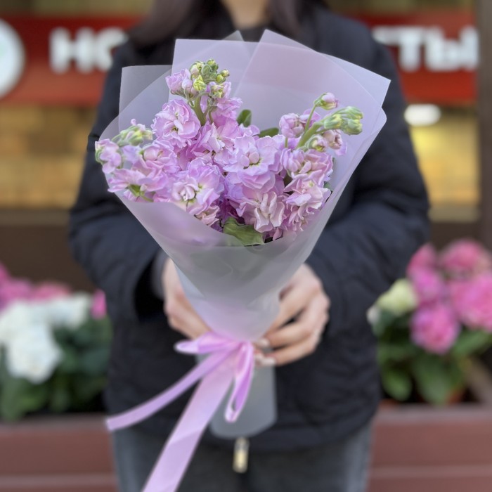 3 ароматные сиреневые маттиолы