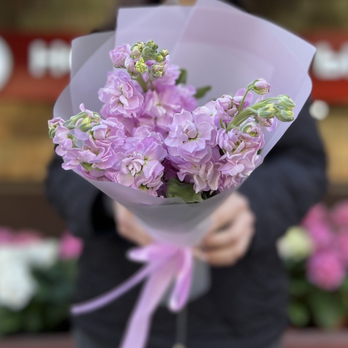 3 ароматные сиреневые маттиолы