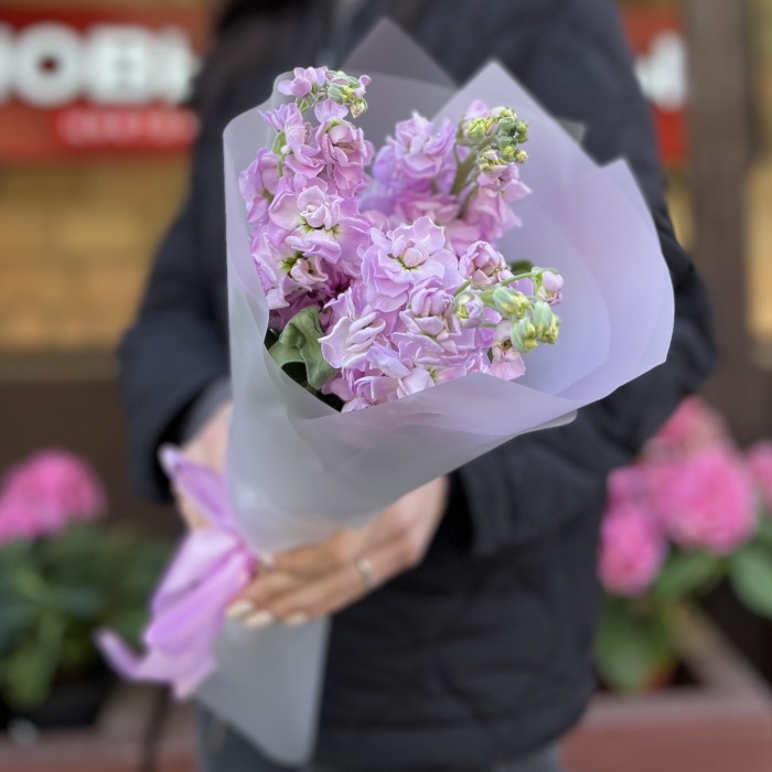 3 ароматные сиреневые маттиолы