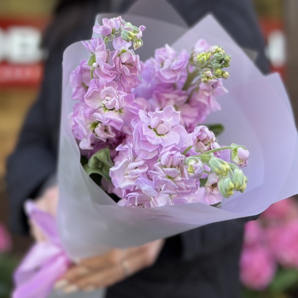 3 ароматные сиреневые маттиолы