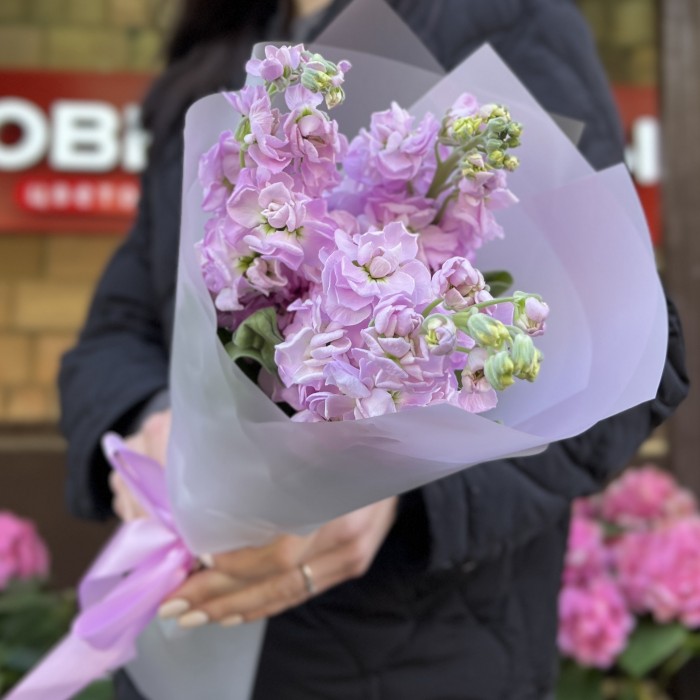 3 ароматные сиреневые маттиолы