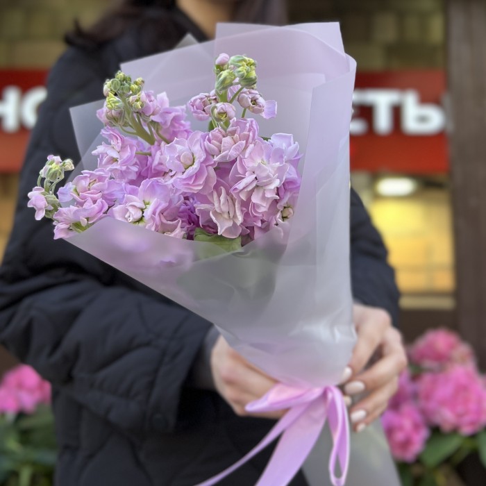 3 ароматные сиреневые маттиолы