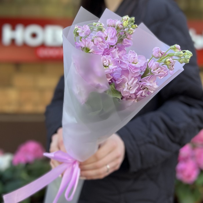 3 ароматные сиреневые маттиолы