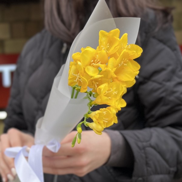 3 жёлтые фрезии в упаковке