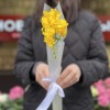3 жёлтые фрезии в упаковке