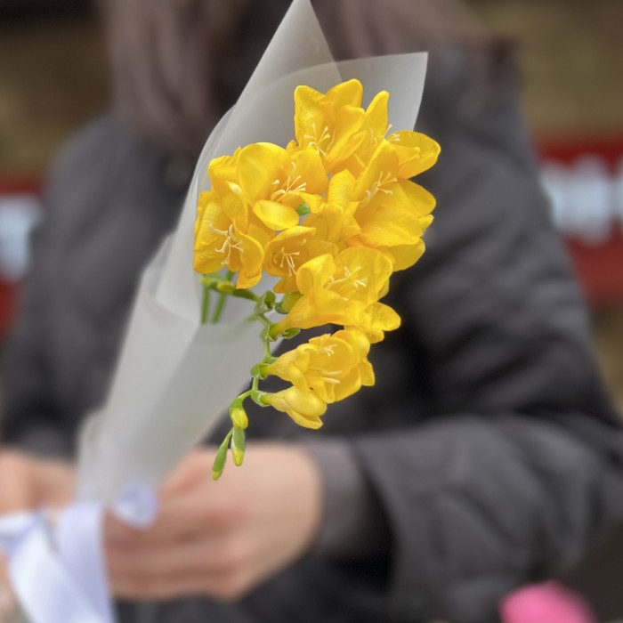 3 жёлтые фрезии в упаковке