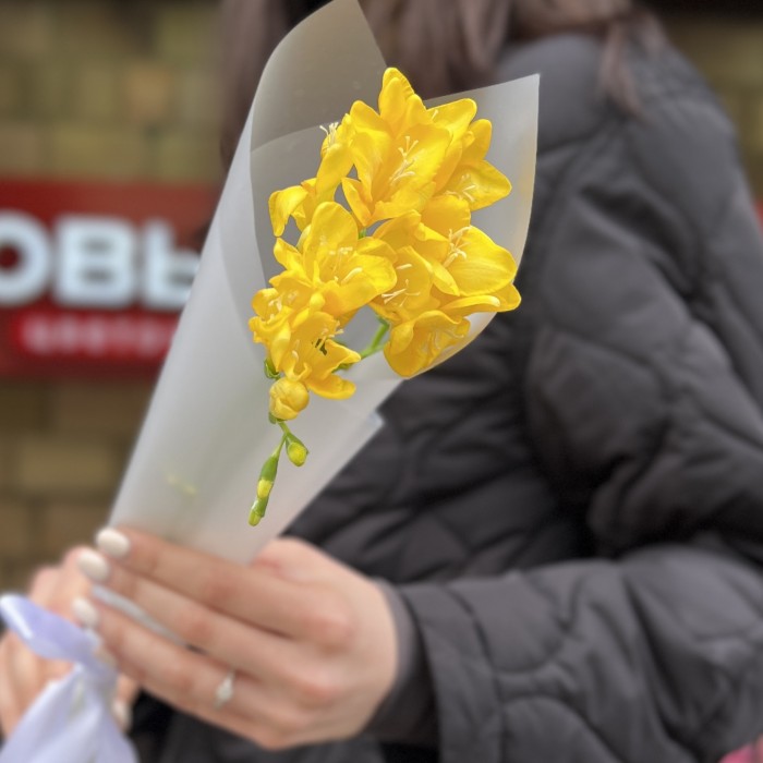 3 жёлтые фрезии в упаковке