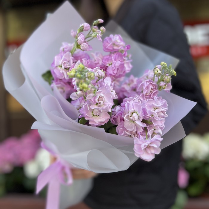 5 сиреневых маттиол в упаковке